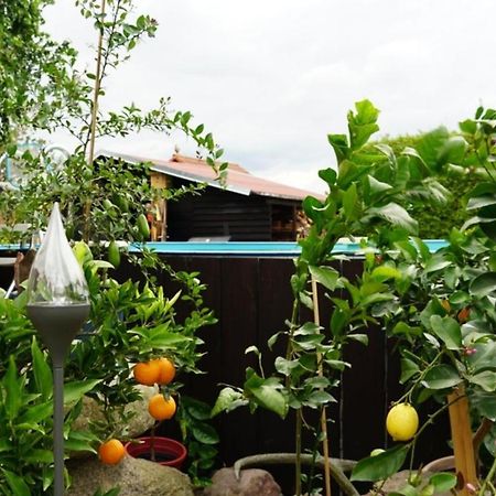 Pension Limone Ferienwohnung 1 Neu Lindenberg 외부 사진