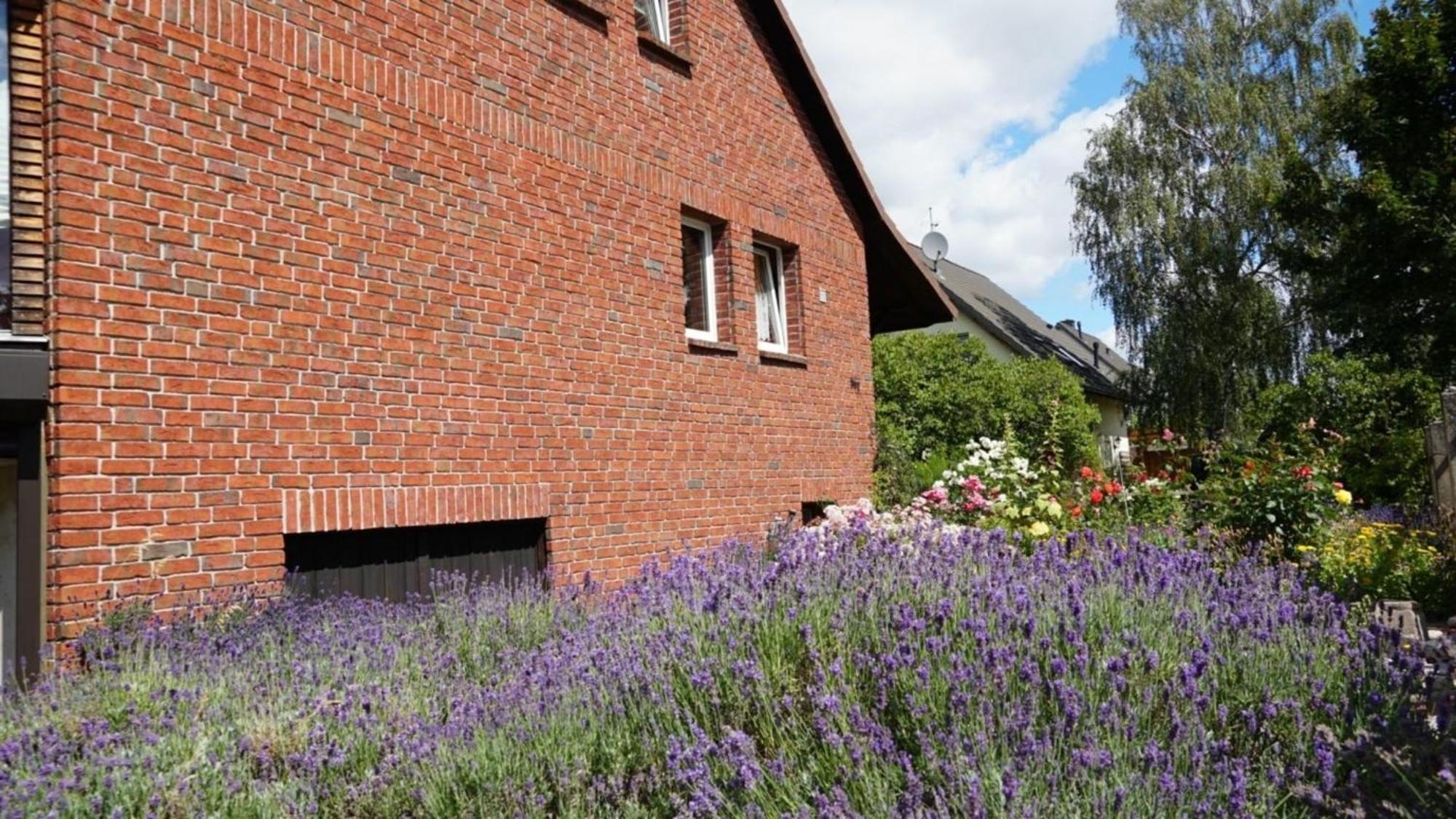 Pension Limone Ferienwohnung 1 Neu Lindenberg 외부 사진